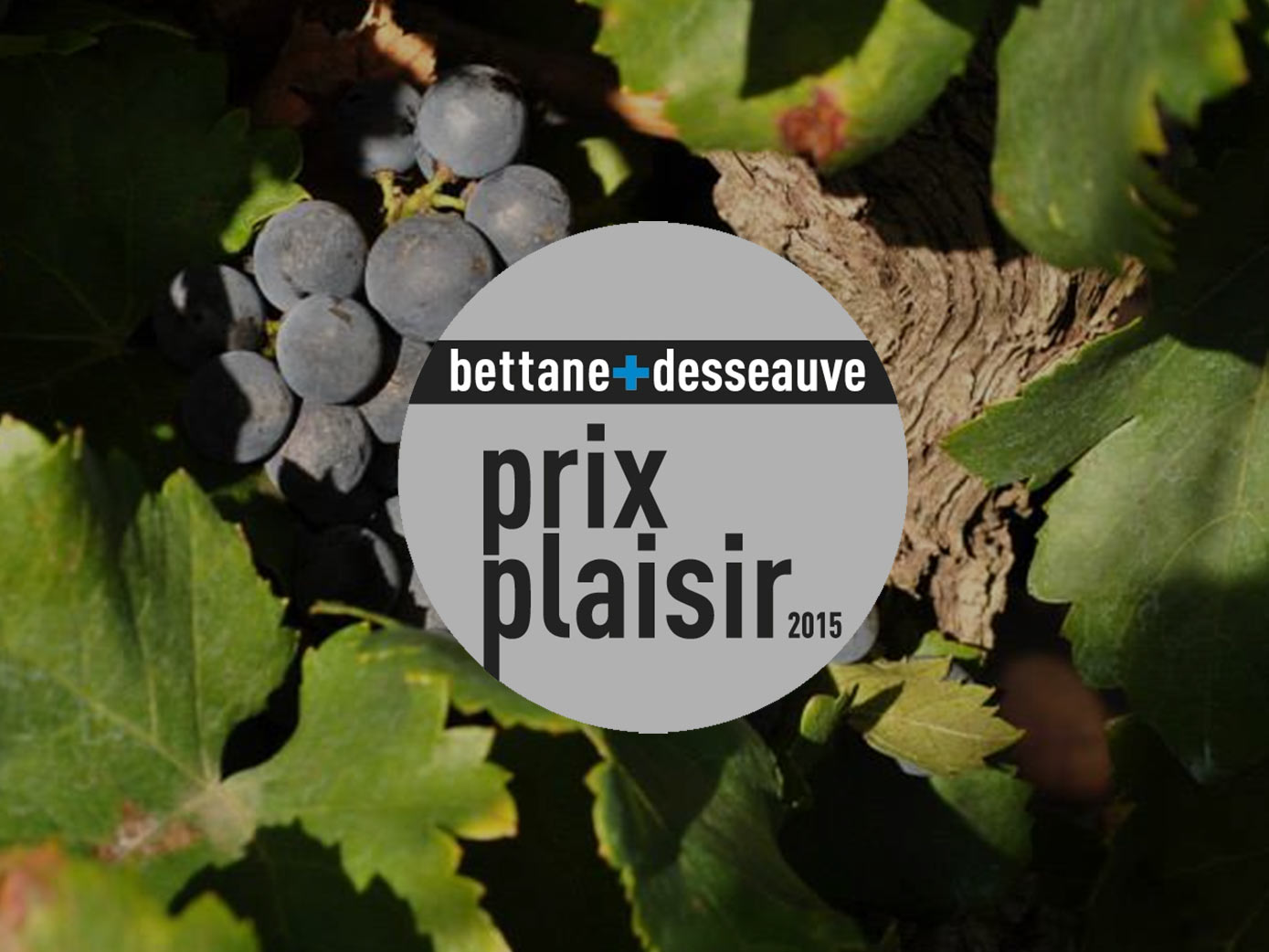 De nouvelles distinctions pour nos vins en Mai!