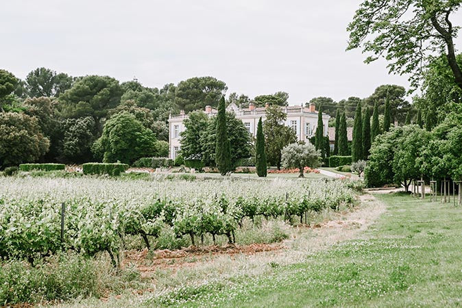Team building en Provence : des activités autour du vin pour souder vos équipes dans un cadre d’exception