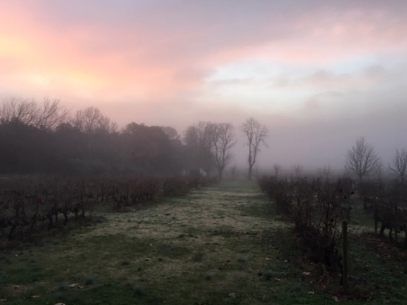 Le Billet d'Estelle 3