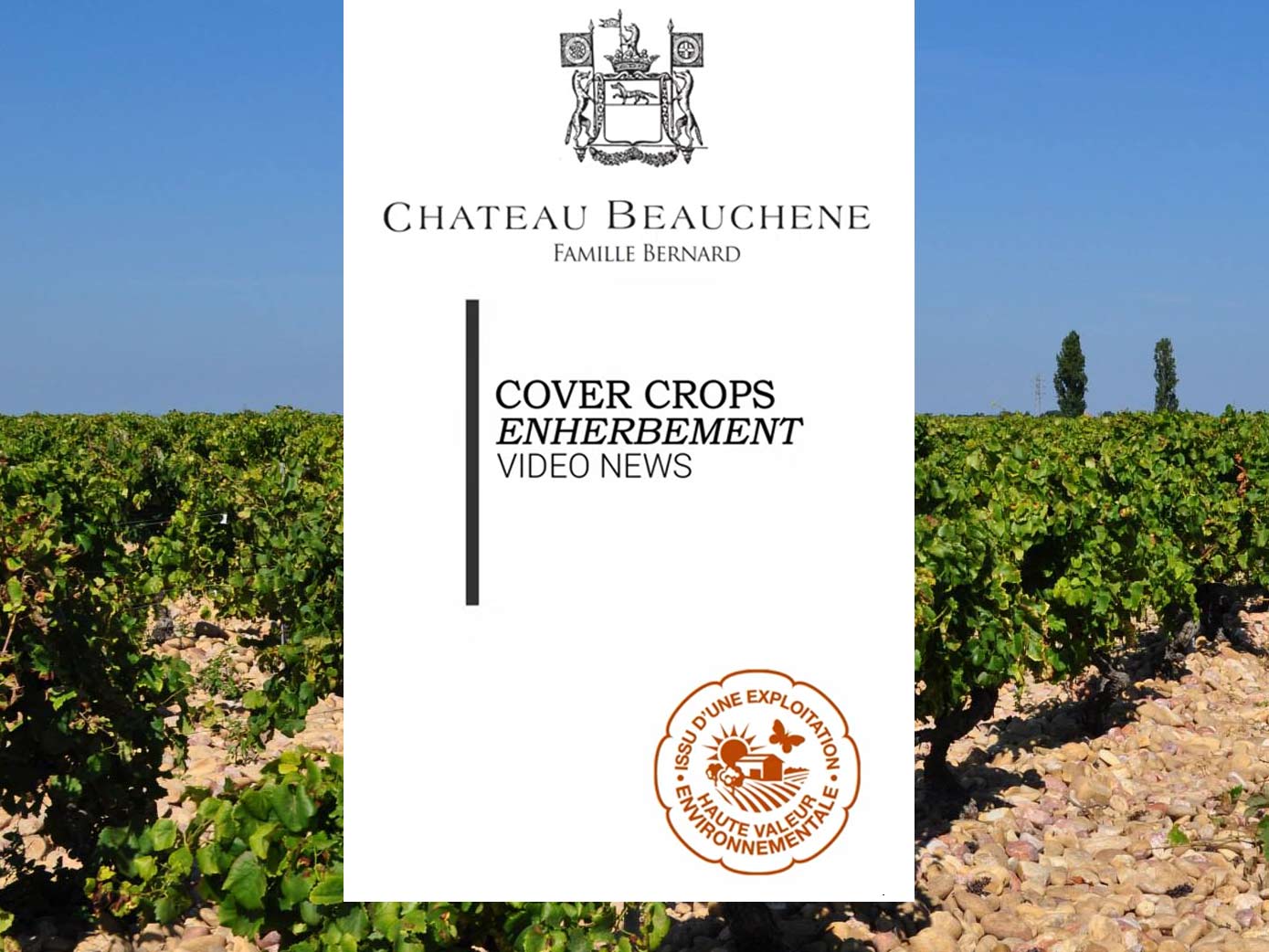 Video Estelle sur l'enherbement