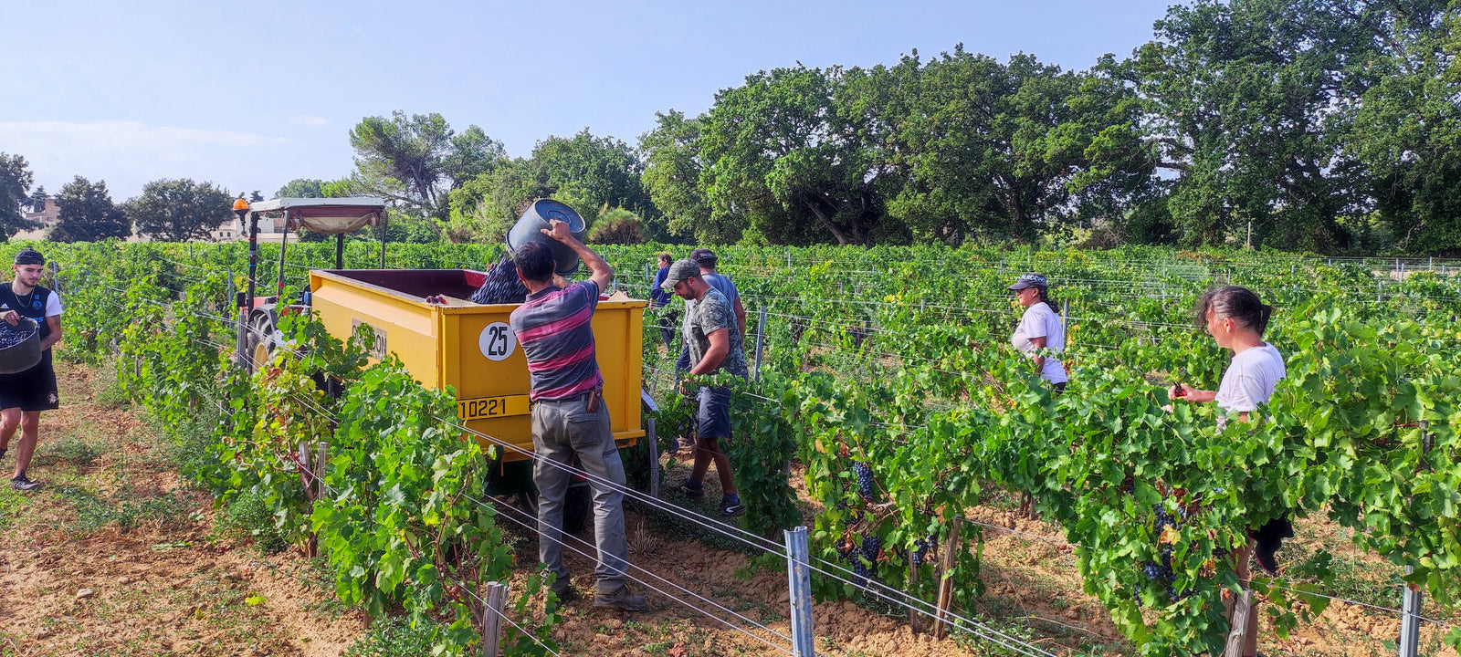 Conditions climatiques pour le millésime 2022