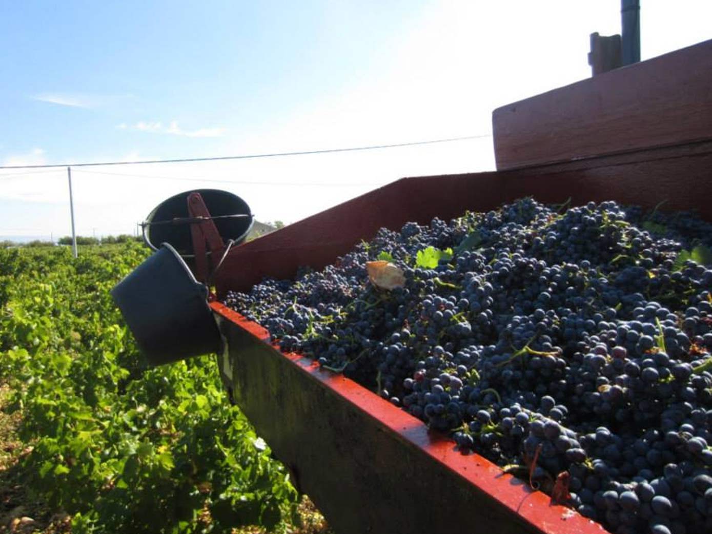 Le Billet d'Estelle 5