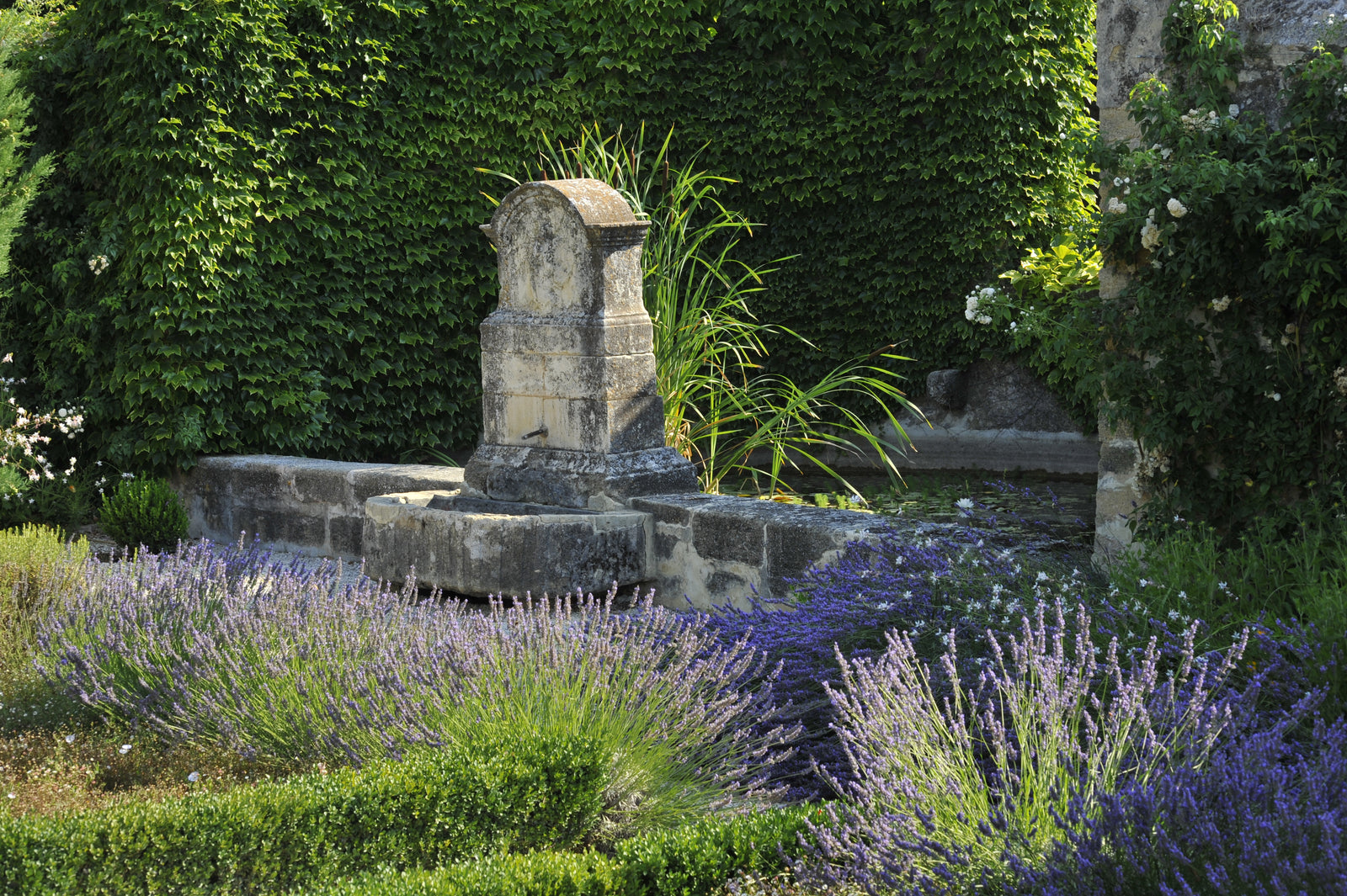 Rendez-vous aux jardins
