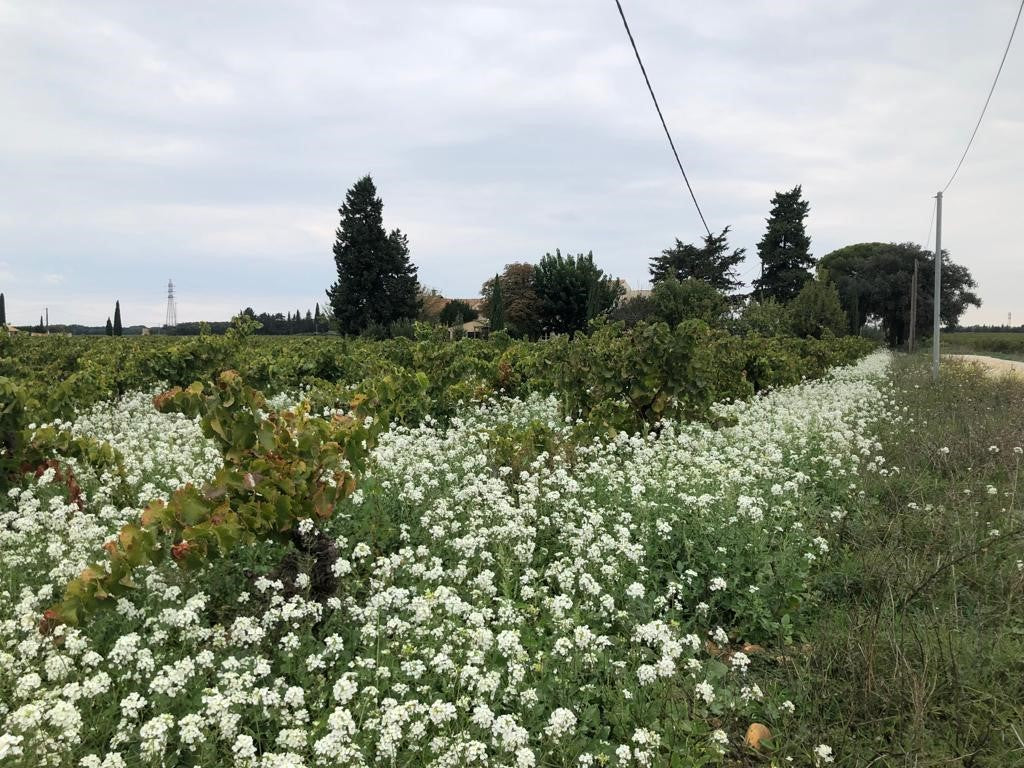 La nature continue son travail...