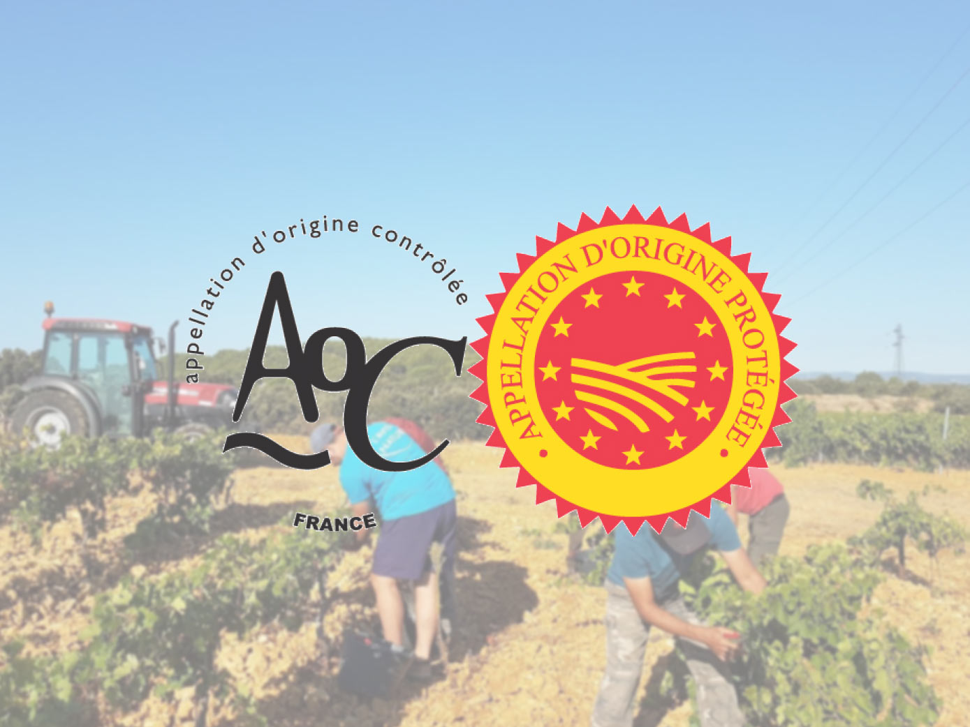 AOP - AOC Le saviez-vous?