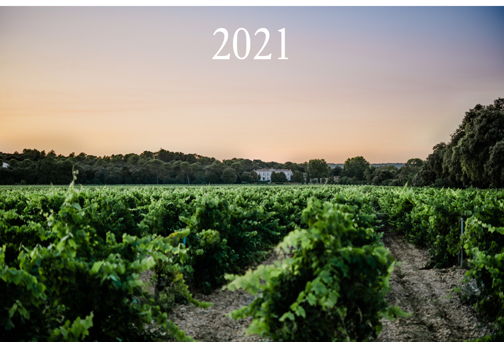 Récolte 2021 au Château Beauchêne