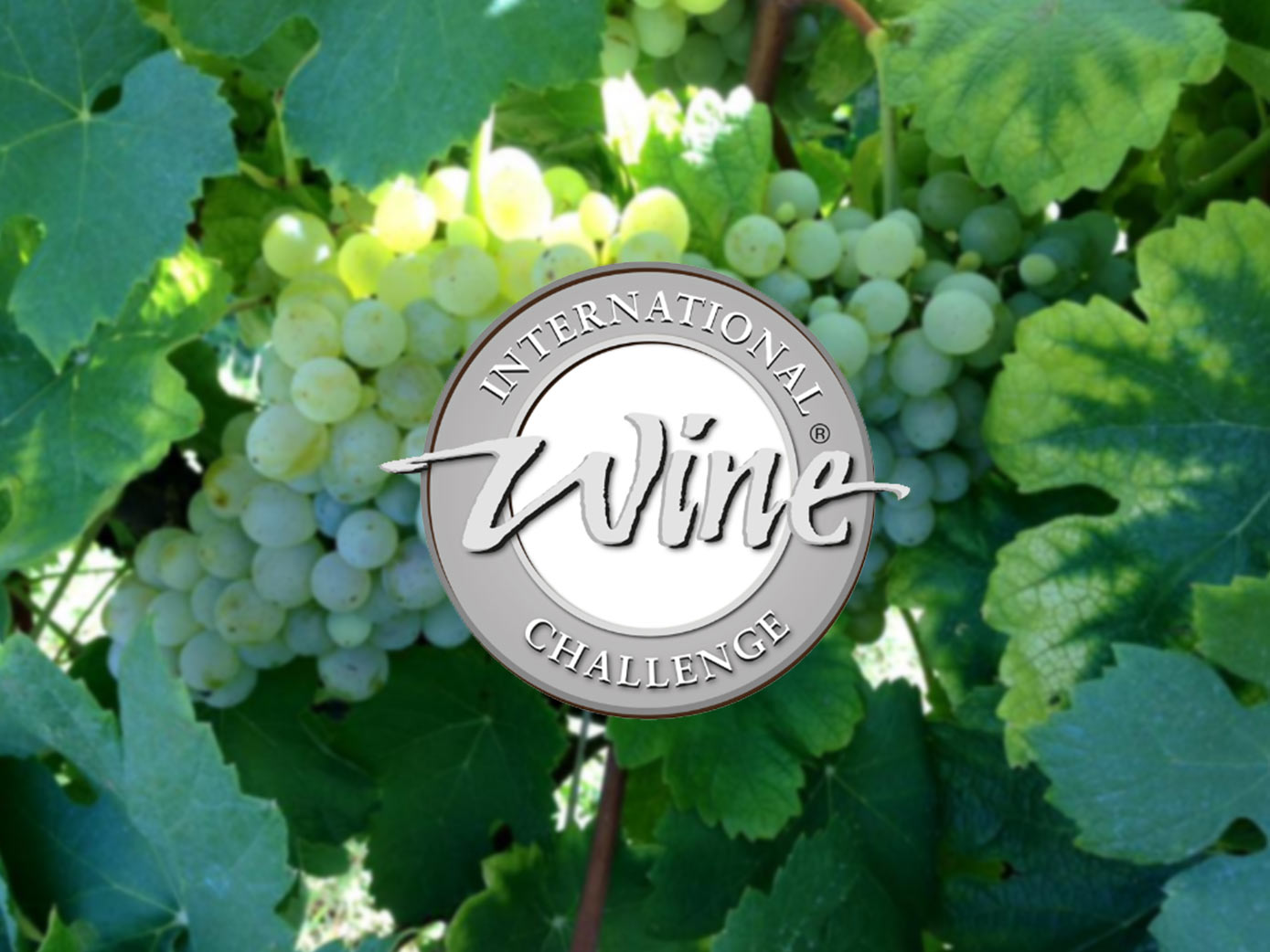 Médailles Concours UK